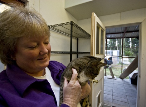 Leslie Byron holds one of the cats in the Friday Harbor Animal Shelter. The shelter is housing animals from the King County Animal Shelter.