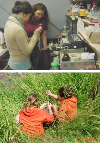 The Kwiaht summer training program in environmental chemistry: Top photo