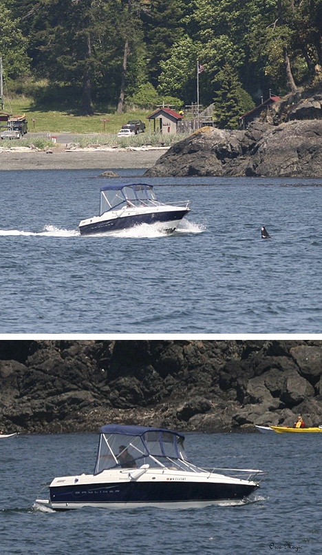 A naturalist with Prince of Whales took these photos of a Bayliner that got too close to an orca May 24