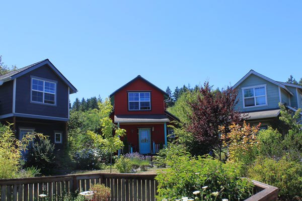 The Salal neighborhood is the first built by SJC Home Trust and has twelve houses altogether.