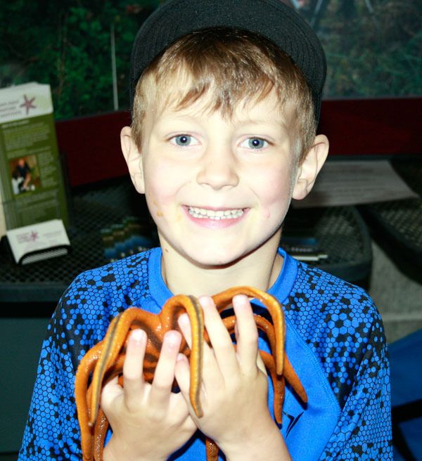 A local youngster cuddles a sea creature during the University of Washington lab's open house