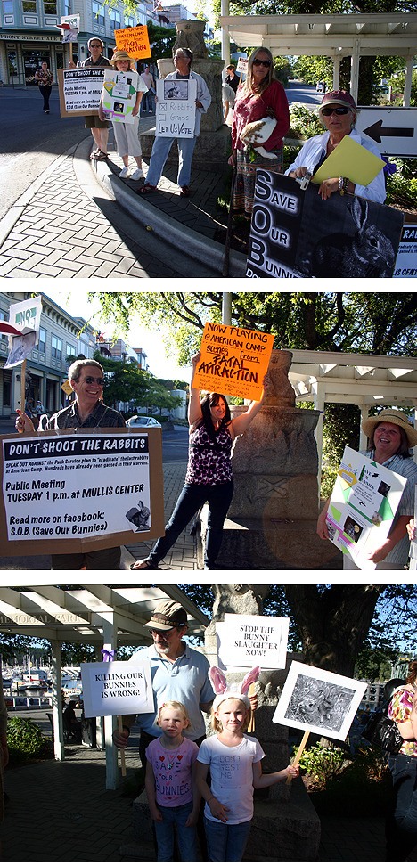 Islanders protest the National Park Service's proposed removal of rabbits from the American Camp prairie