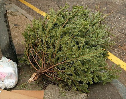 Last year’s Christmas tree chipping program diverted approximately three tons of Christmas trees from the landfill.