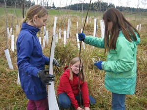 Students from Spring Street and Salmonberry schools join forces to help restore the Land Bank’s Beaverton Valley Marsh.