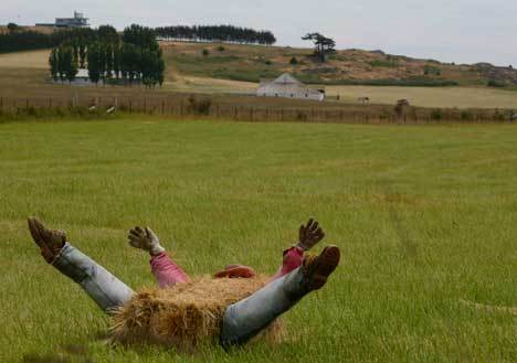 Is something amiss on False Bay Road?