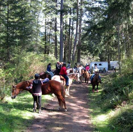 Horses and their riders queue up at the north trailhead of the Turtleback Mountain Preserve.