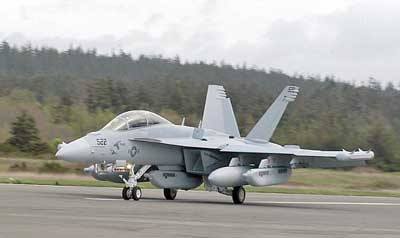 A Whidbey Island group claims that noise from Navy's EA-18G electronic aircraft (above)