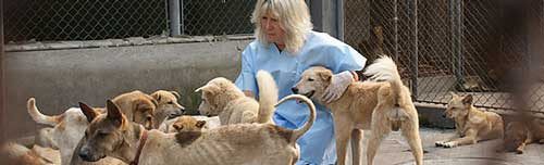 US director of Animals Asia Lance Morgan will be in Friday Harbor