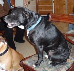 Female is about fourteen