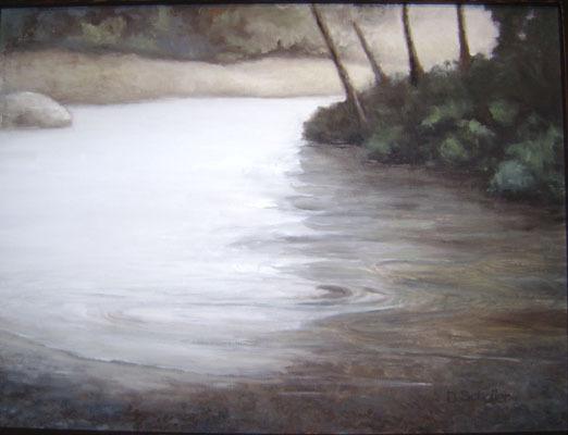 Artist  Doris Schaller's painting in the show is titled ‘Cowliz River Bend