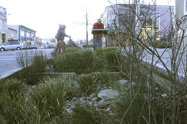 The rain garden in Friday Harbor has a display illustrating how the plants and soil act as a filtration system.