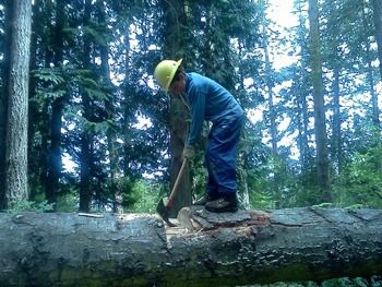 Jacob Kaden of the San Juan Conservation Corps cuts a notch in a fallen tree.