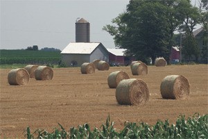 Lack of compliance with requirements may prompt some farmers to lose long-standing tax breaks for agricultural lands
