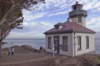 Sometimes overshadowed by the appearance of killer whales offshore
