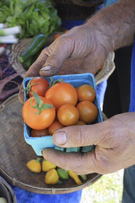 Initiative Measure No. 2012-4 would make it unlawful to propagate