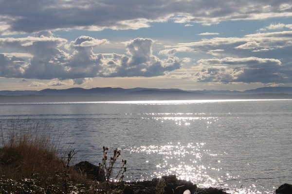The view of Canada from Henry Island. Friends of the San Juans project that new and expanding terminal and refinery projects would add an additional 5