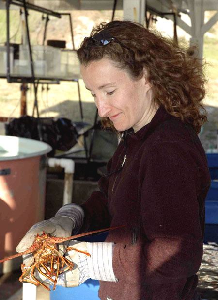 The Paul Illg Distinguished Lectureship will present Dr. Sheila Patek as their 2011 speaker.