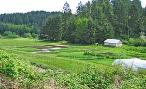 The ins-and-outs of San Juan County's current-use farm and agricultural taxation program will be featured in San Juan Island Grange No. 966's spring lecture series season finale