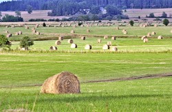 Fields of farmland are lined with hay bales is San Juan Valley.