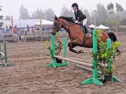 A 4-H rider puts her horse through its paces in the pole-jumping competition at the 2013 county fair.