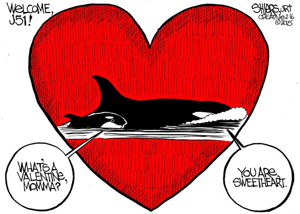 Cartoonist Rob Pudim's views on local news and events are published weekly in the Journal of the San Juan Islands and on SanJuanJournal.com as well.