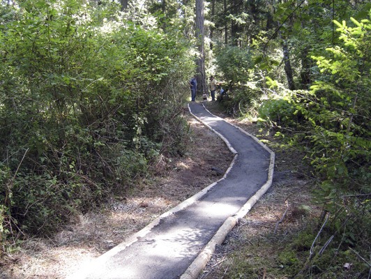 A new 72-foot long turnpike now covers a historically soggy portion of a popular trail on the National Parks’ Mitchell Hill.