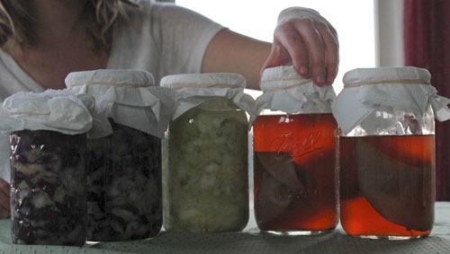 Fermented foods are fun to make and beneficial to your health.