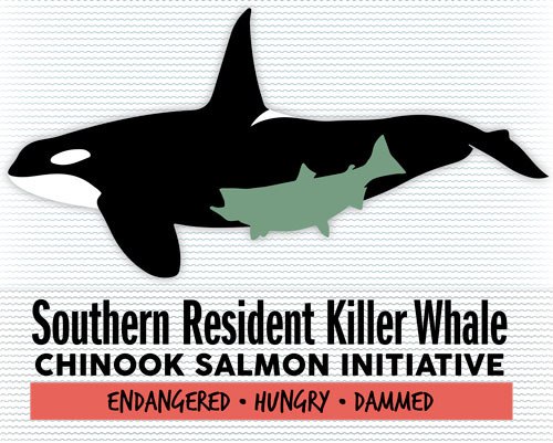 Local efforts find footing in Washington D.C. as two prominent conservation organizations lobby for removal of the lower four Snake River dams.