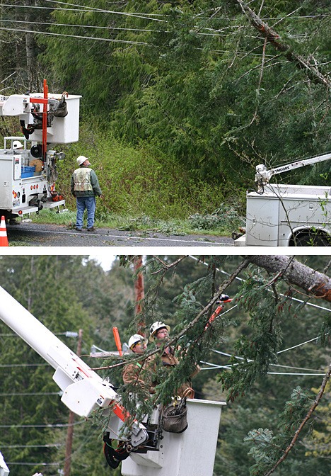 Top photo: An OPALCO crew member assesses a tree that fell over onto a power line on Roche Harbor Road at Lillan Lane