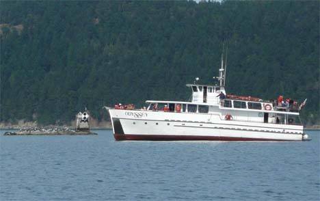 By Julia Vouri  The veteran excursion and whale-watch vessel Odyssey ran aground on Leo Reef Rocks off Lopez Island Wednesday