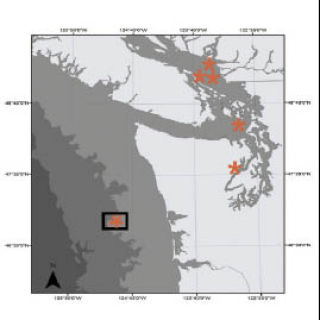 This chart shows the confirmed location of glass sponge reefs. The U.W. Friday Harbxor Labs hopes to obtain funding to map other possible sites in the San Juans.