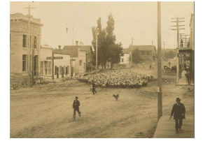 The heart of downtown Friday Harbor — Spring and First streets — shortly before the town incorporated in 1909. Several buildings in this photo are familiar to residents today: The San Juan County Bank building at left
