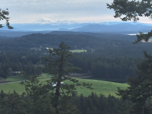 Driving access at Mount Grant Preserve