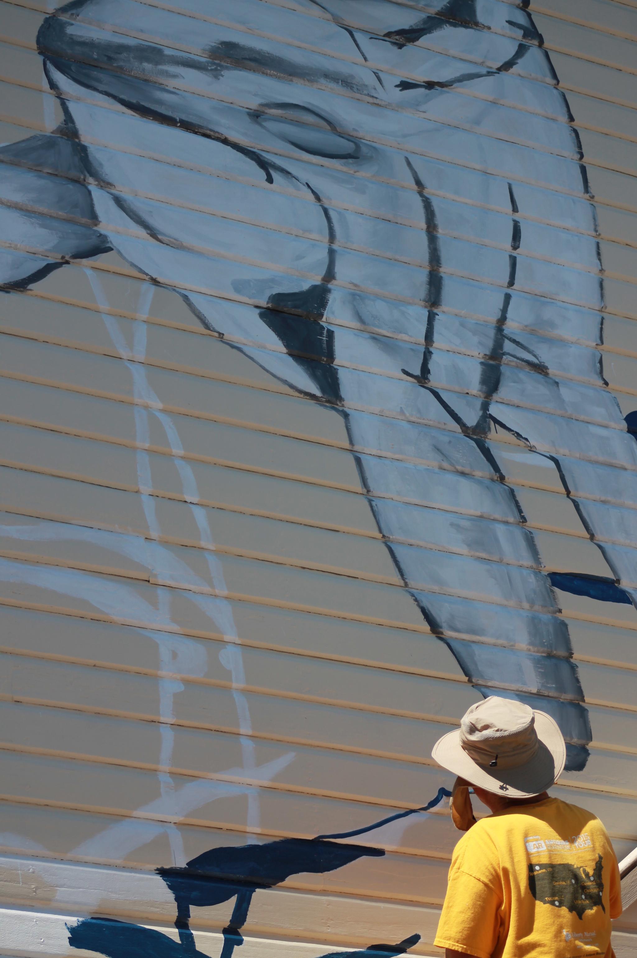 Whale museum gets a makeover