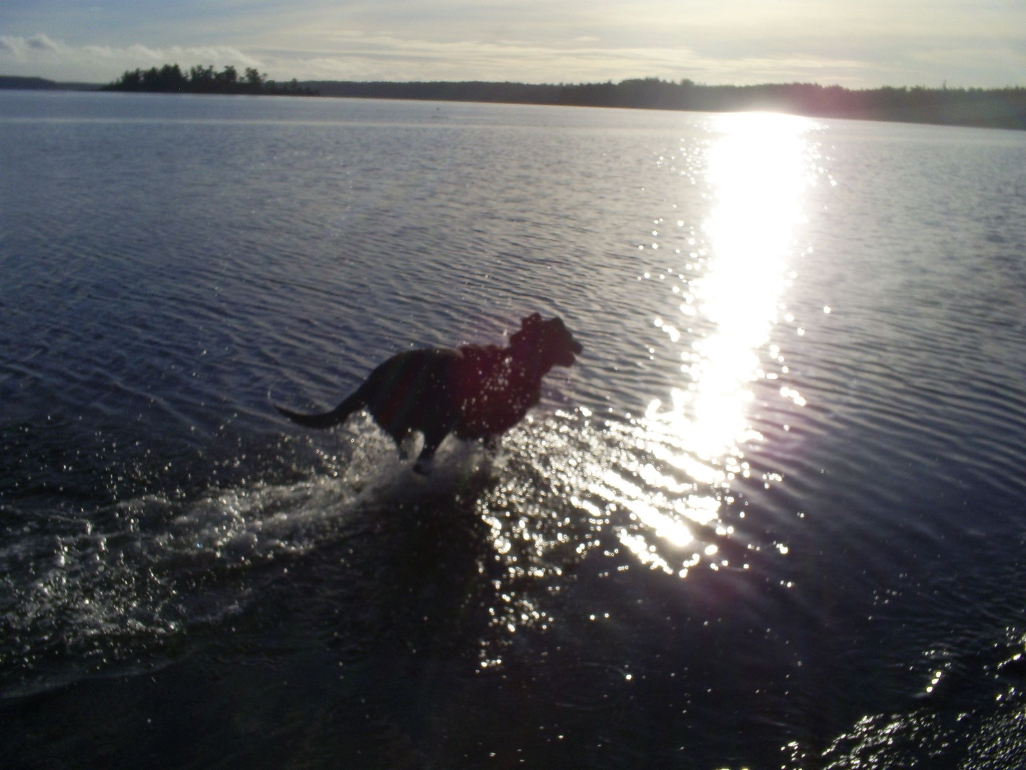 My beloved Gabe | Passages