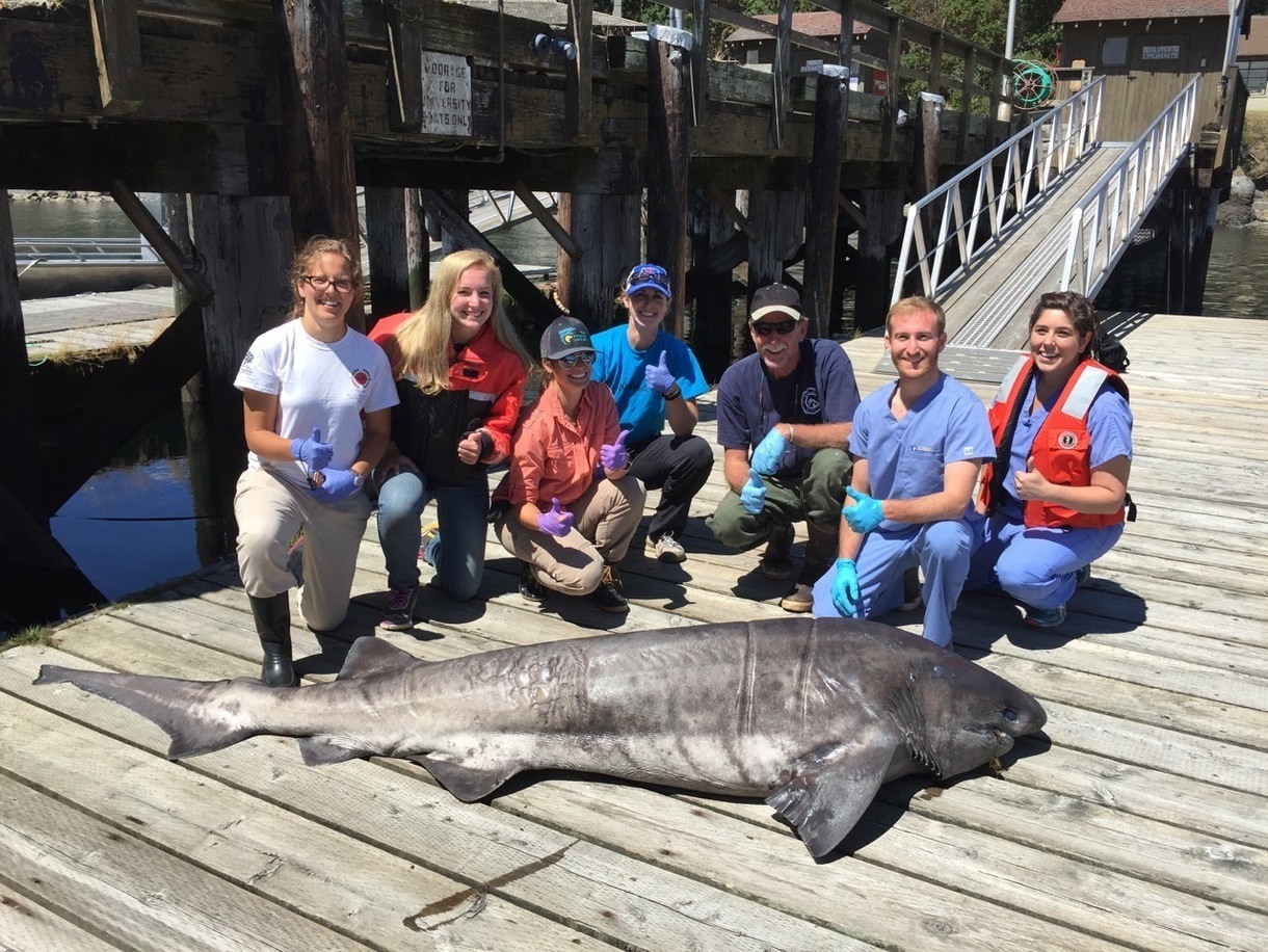 Photo contributed by the SeaDoc Society