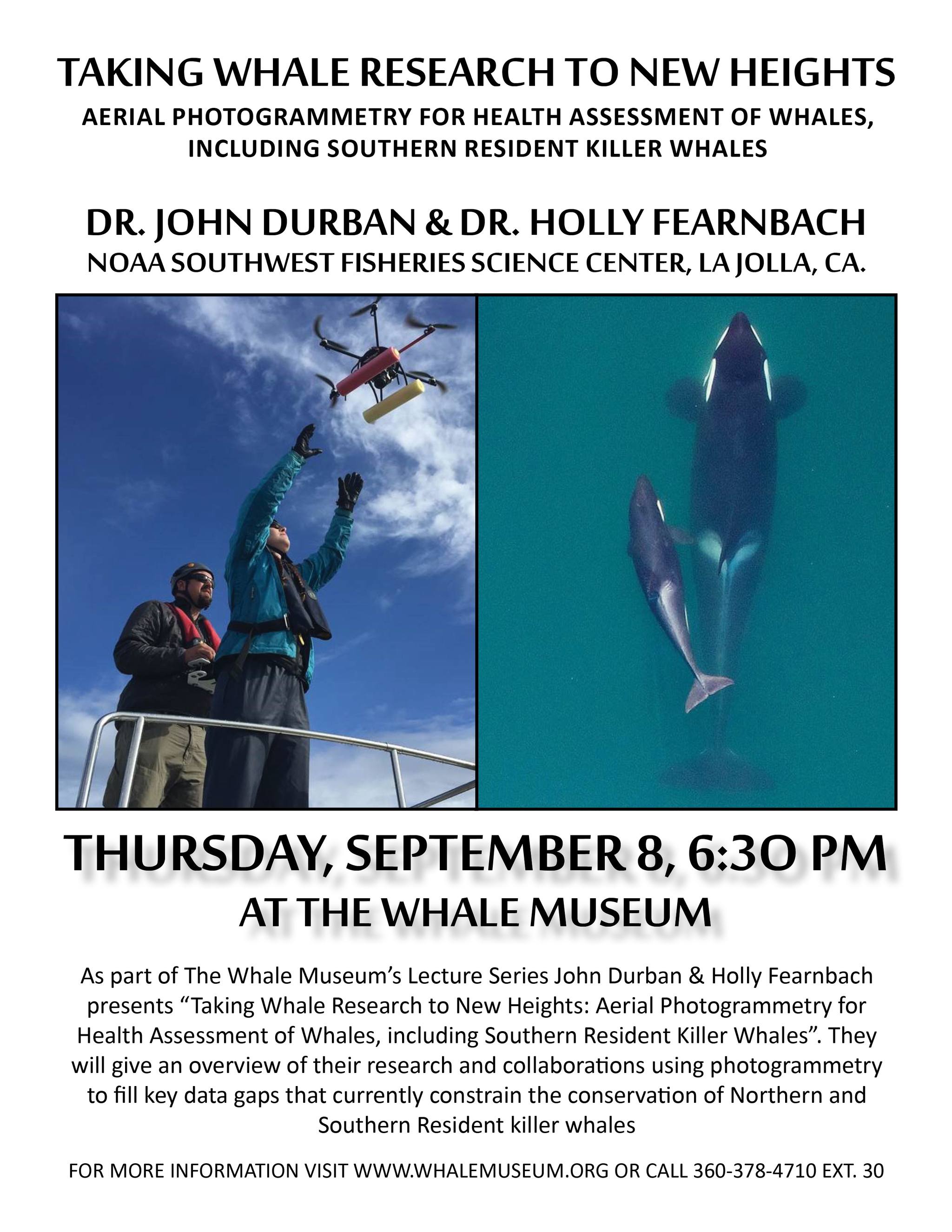 Taking whale research to new heights