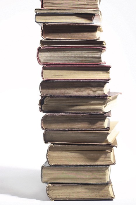 Islanders voted for their favorite books at the SJ County Fair.