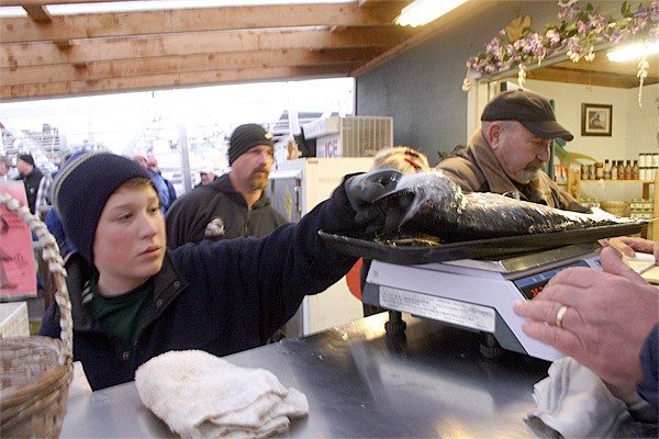 Resurrection Derby competitor Jace Rinker hoists his catch onto the scales at San Juan Seafoods on Dec. 4
