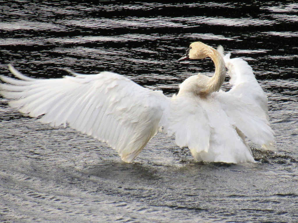 Contributed photo/Mary Kalbert