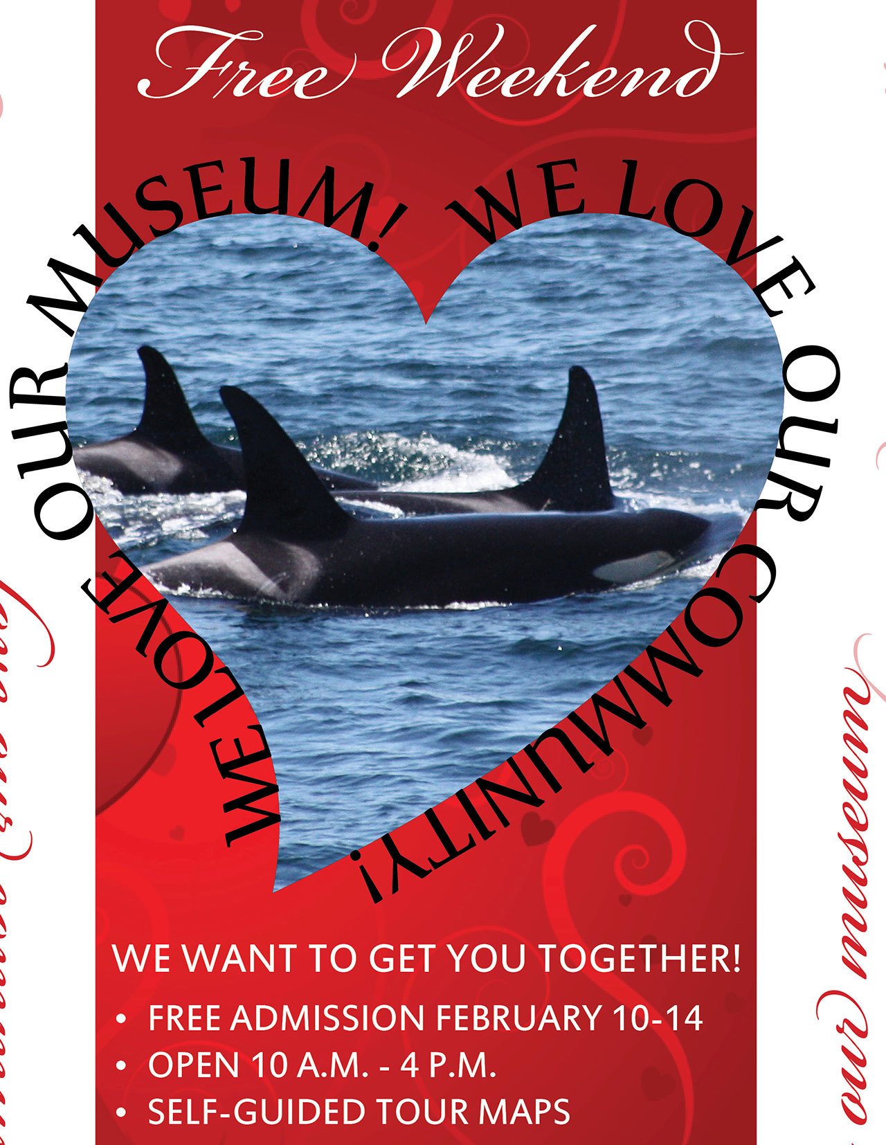 Contributed image/The Whale Museum