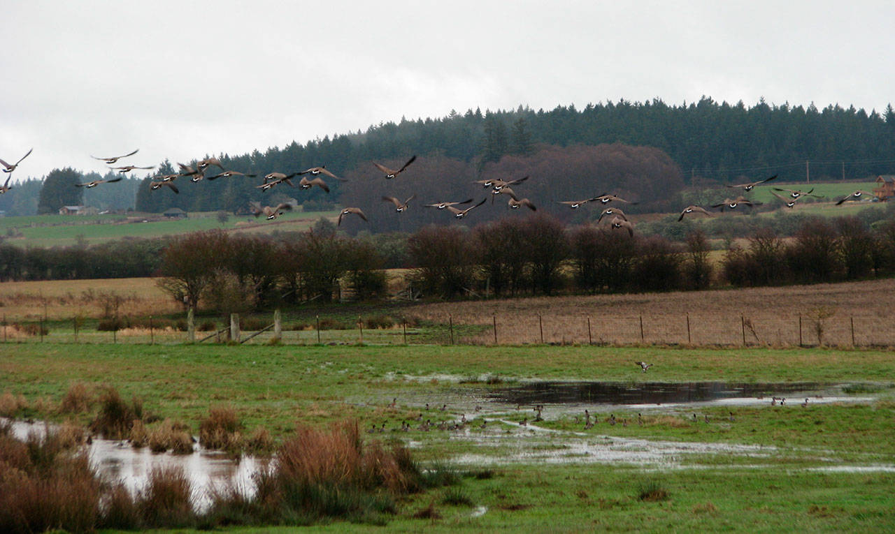 Contributed photo/San Juan County Land Bank