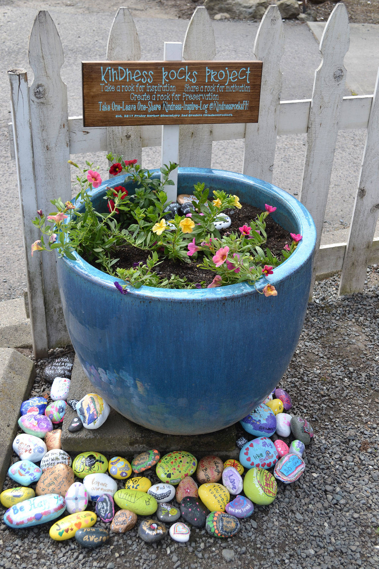 Contributed photo/Friday Harbor Elementary School                                 About 60 second graders contributed to the project.