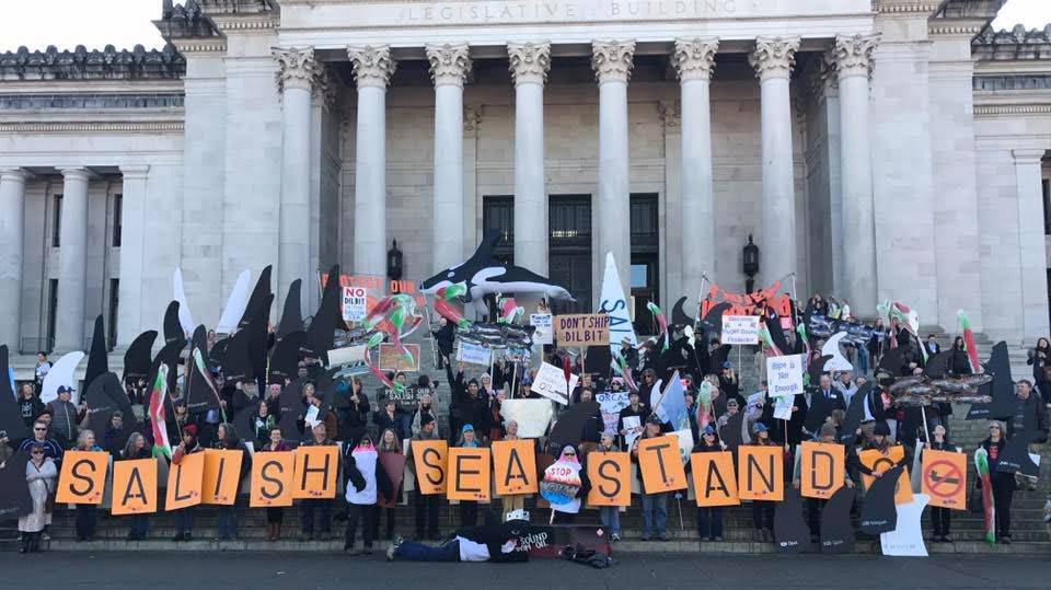 Contributed photo/ Friends of the San Juans                                Volunteers display orcas fins on the Capitol steps for Salish Sea Stands Day in February to advocate for the Oil Transportation Safety Bill HB 1611.