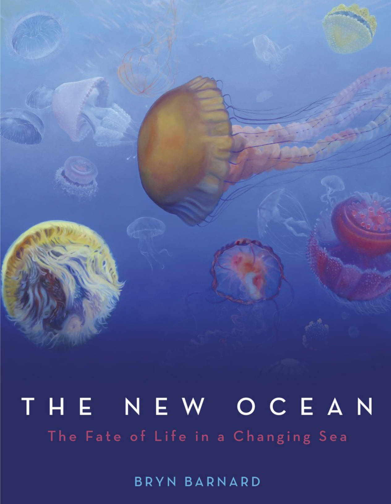 Local author Bryn Barnard discusses “New Ocean” book