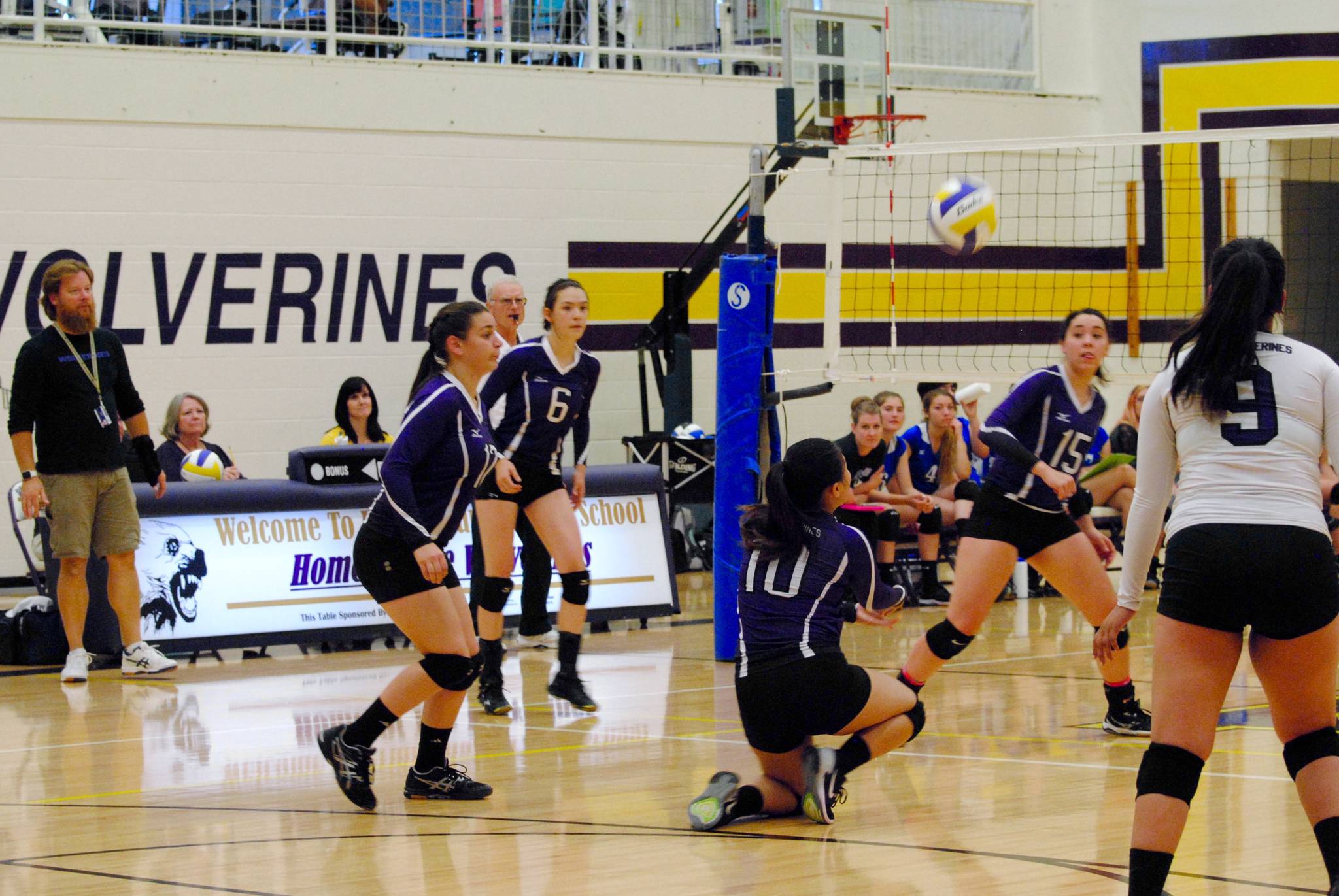 Wolverines win against rival Vikings | Volleyball