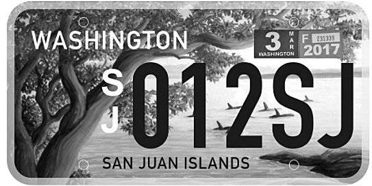 Island artist Nancy Spaulding wins local license plate design