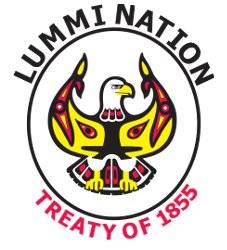 Lummi Nation chairman responds to escaped salmon recovery