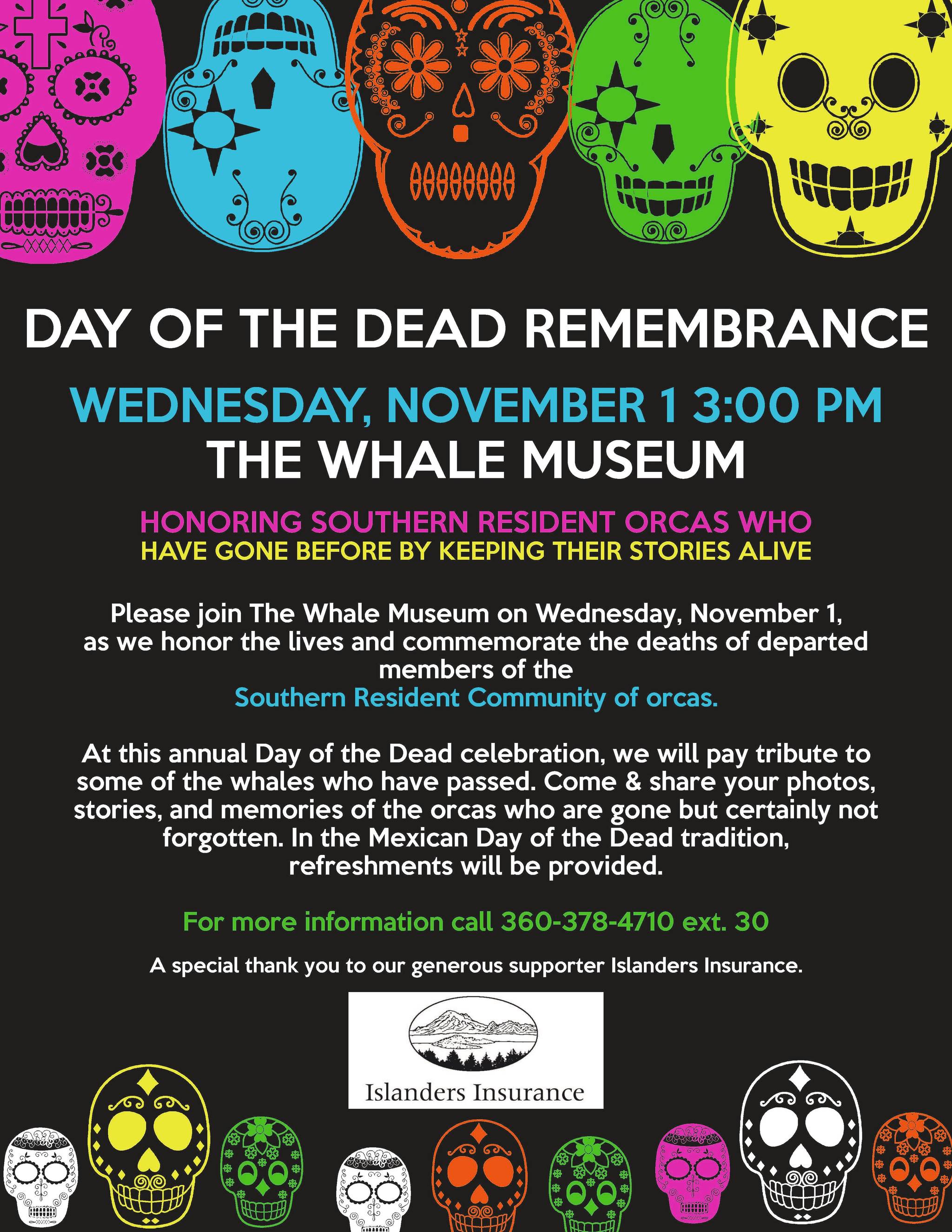 Honor orcas this Day of the Dead