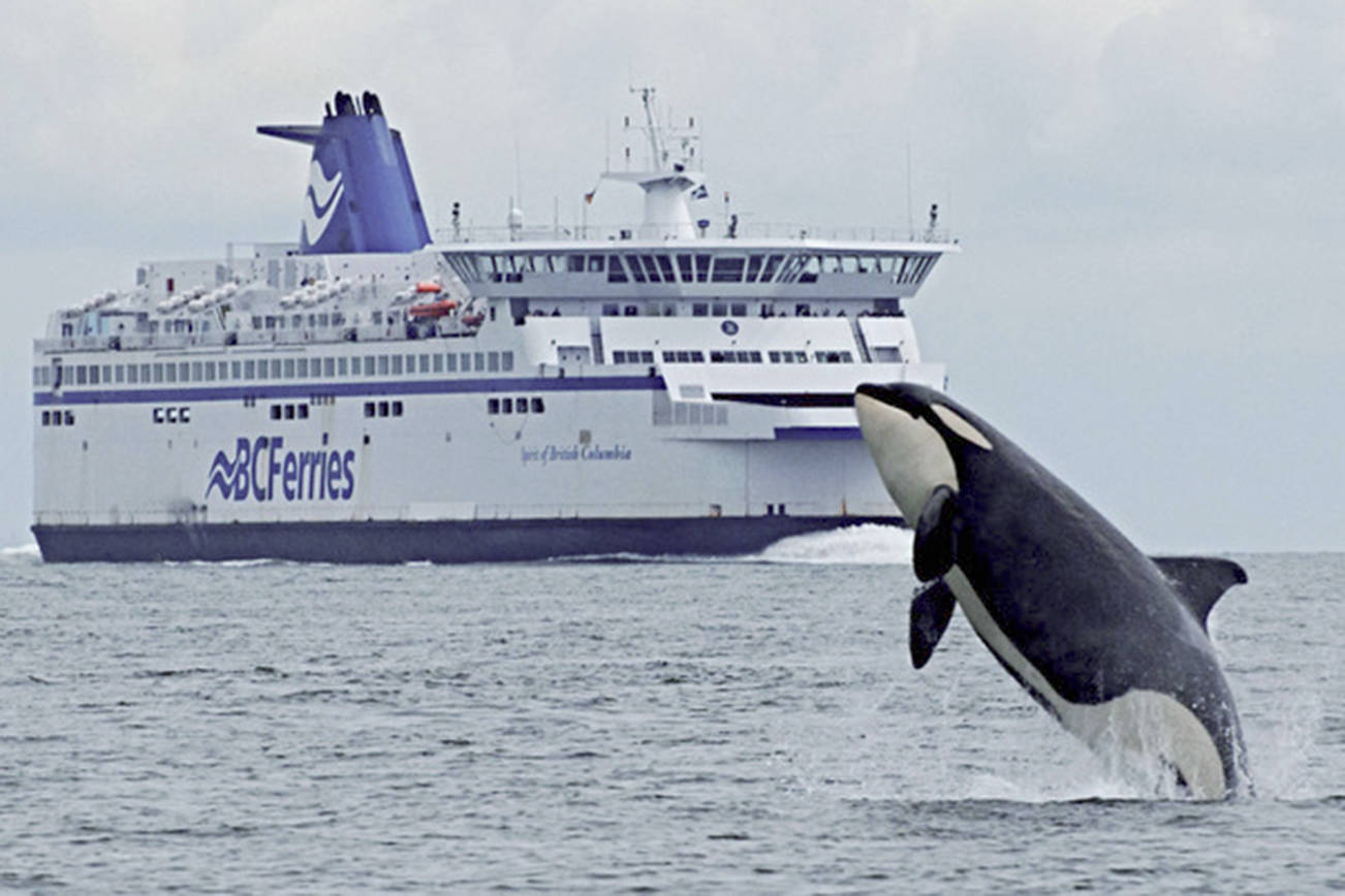 Eastsound talk on tanker traffic, noise and marine wildlife